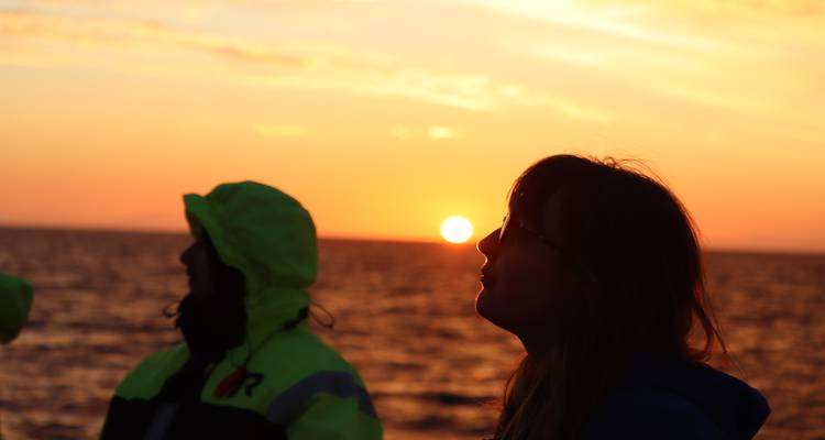 5 jours Reykjavík Islande & Eclipse solaire Aventure en mer Grand groupe - GJ Travel 7