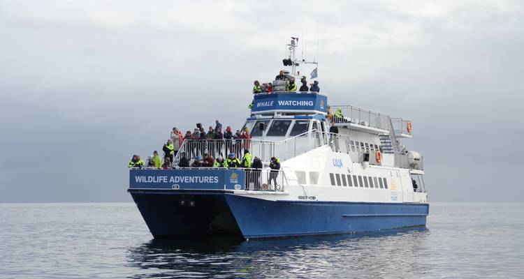 5 jours Reykjavík Islande & Eclipse solaire Aventure en mer Grand groupe - GJ Travel 10
