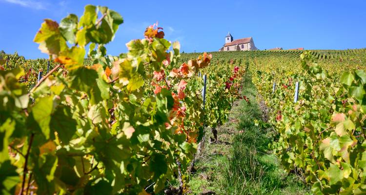 Un goût de champagne - Cycling for Softies 1