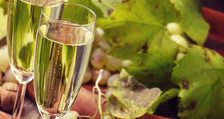 Un goût de champagne - Cycling for Softies 2