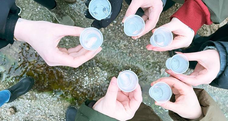 8 Days South Iceland & Reykjavík Solar Eclipse Break Larger Group - GJ Travel 3