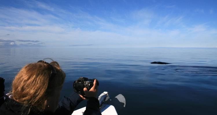 8 Days South Iceland & Reykjavík Solar Eclipse Break Larger Group - GJ Travel 7