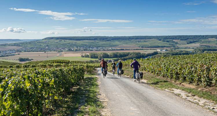 Vignobles de Champagne - Cycling for Softies 1