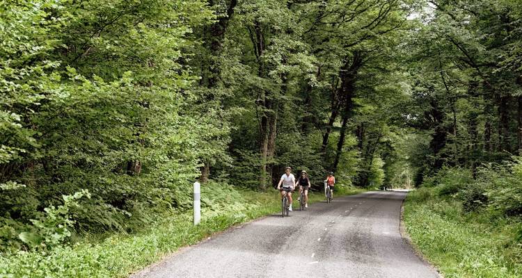 Vignobles de Champagne - Cycling for Softies 6