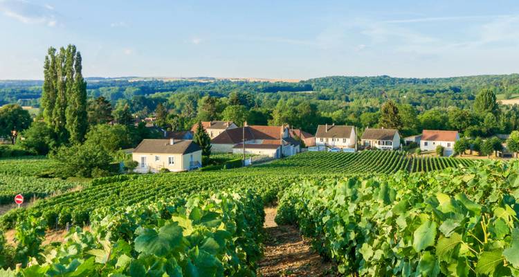 Vignobles de Champagne - Cycling for Softies 9