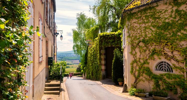 Vignobles de Champagne - Cycling for Softies 10