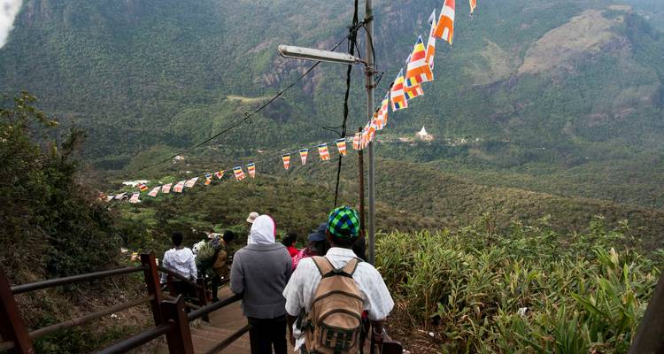 Sri Lanka in Depth (Hortons Plain) - Explore! 8