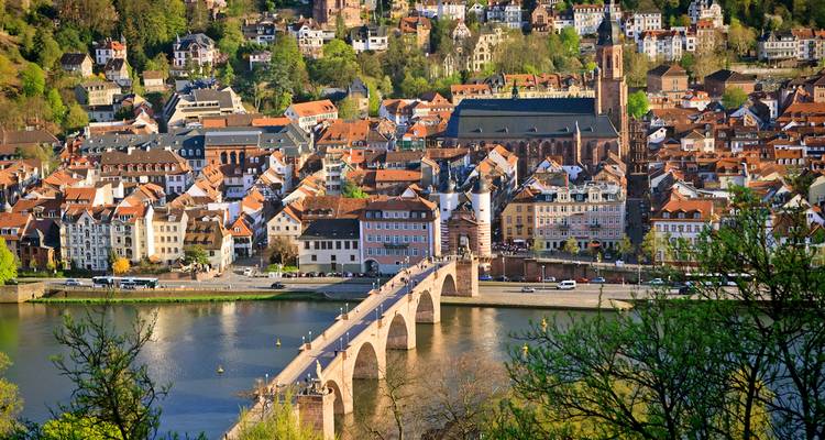 Rhin romantique, Alsace et Pays-Bas Crucevita - Cabine principale - Europamundo 10