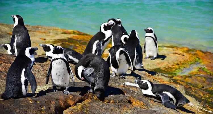 The Perfect Blend of Luxury, Adventure, and Relaxation in Southern Africa 13 Days/12 Nights - Across Africa Tours & Travel 2
