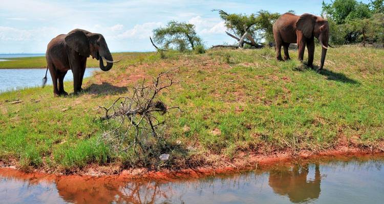 The Perfect Blend of Luxury, Adventure, and Relaxation in Southern Africa 13 Days/12 Nights - Across Africa Tours & Travel 3