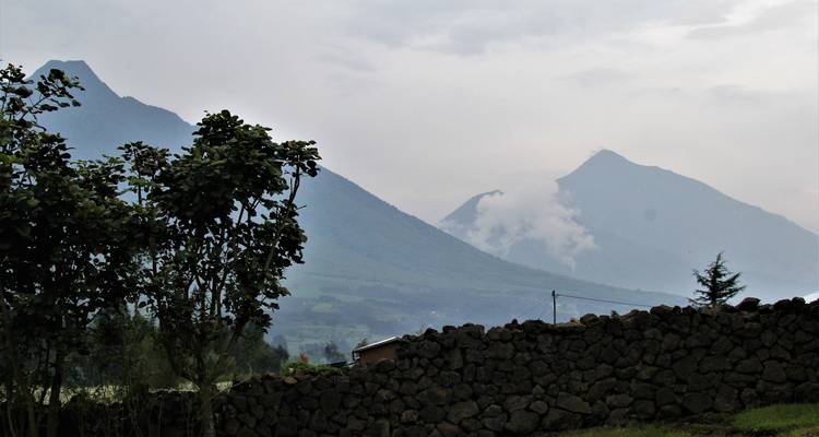 3 Days Primate Tracking Rwanda Safari - Rwanda Eco Company and Safaris  3