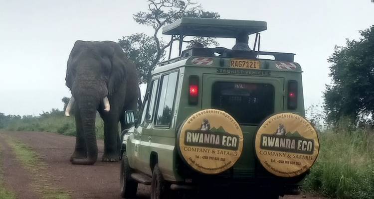 3 Days Akagera National Park Wildlife Safari - Rwanda Eco Company and Safaris  5