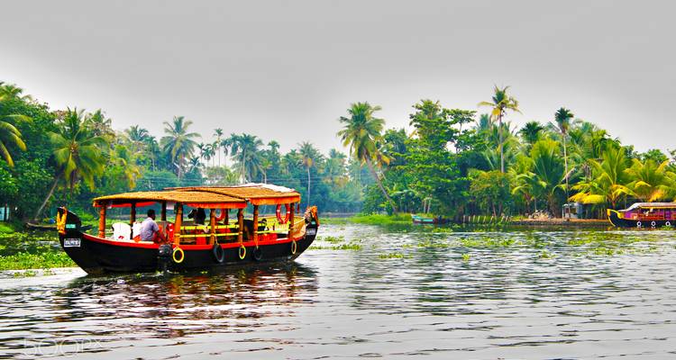 Bateau coloré naviguant à travers de luxuriants canaux tropicaux.