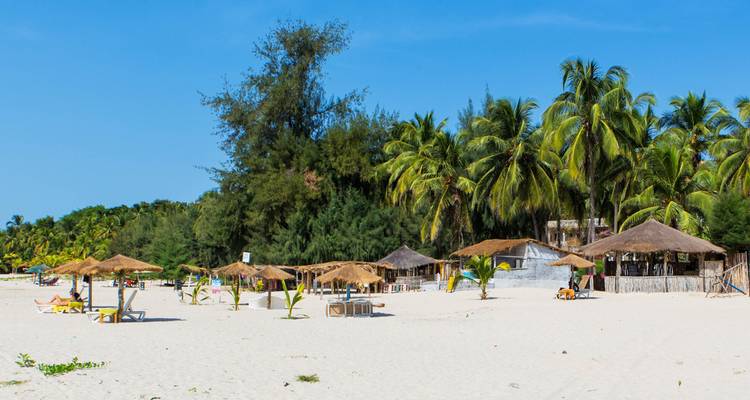Plage tropicale avec palmiers et huttes sous un ciel dégagé.