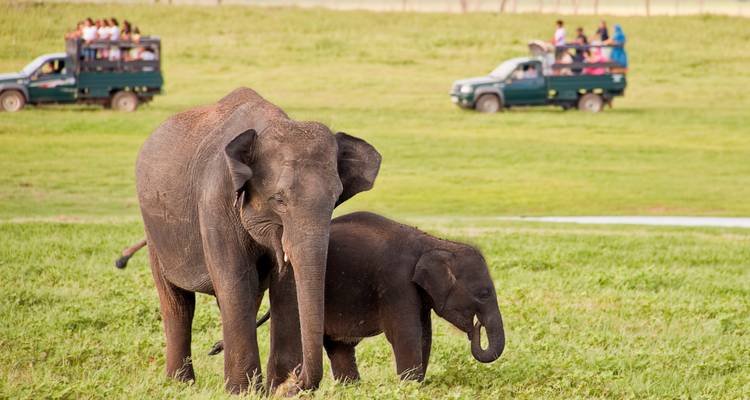 Cycle Sri Lanka (15 destinations) - Intrepid Travel 3
