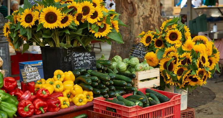 Noches estrelladas en la Provenza - Cycling for Softies 2