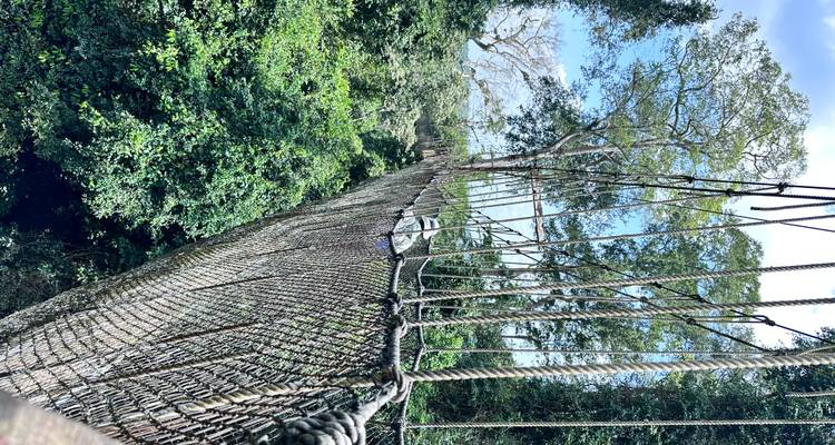 Passerelle suspendue en hauteur s'étendant à travers une forêt tropicale luxuriante avec une personne traversant prudemment.