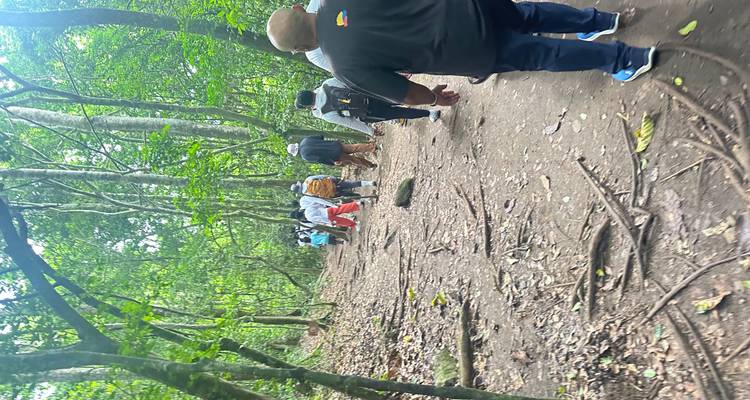 Des randonneurs progressent le long d'un sentier de terre forestier entouré d'un feuillage vert dense.