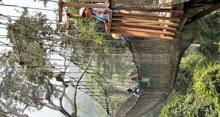 Les visiteurs regardent par-dessus le bord d'une plateforme en bois sur un long pont suspendu au-dessus de la forêt tropicale.