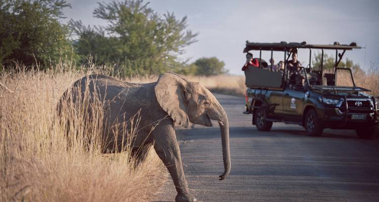 Vibrant South Africa: Nature, Wild Life and Adventure - Wanderful Holidays LLC 2