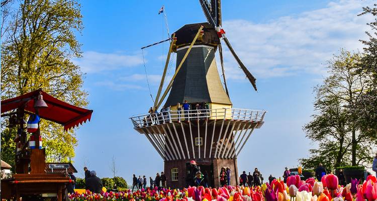 Croisière fluviale de printemps en Hollande et en Belgique - Collette 5