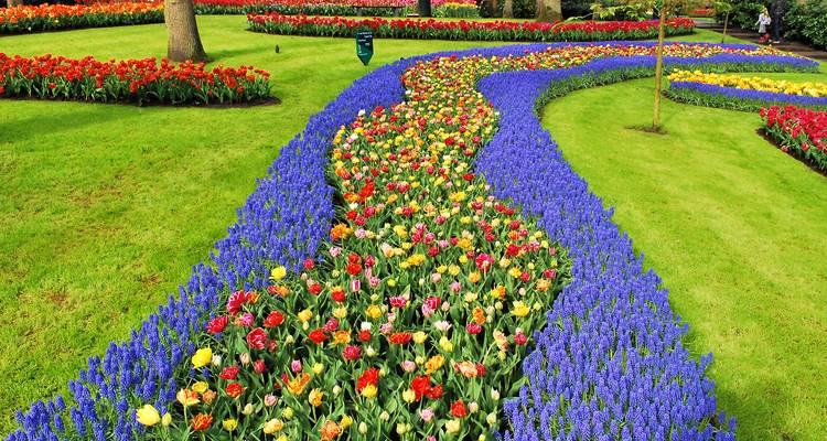 Croisière fluviale de printemps en Hollande et en Belgique - Collette 4