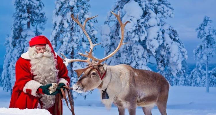 [Autoguiado] Finlandia en 8 días - Helsinki y Rovaniemi - WiseYatra 3