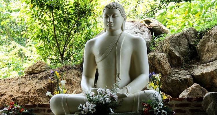 8 jours pour découvrir les merveilles de la faune et de la flore du Sri Lanka - STM Tours LLC 9