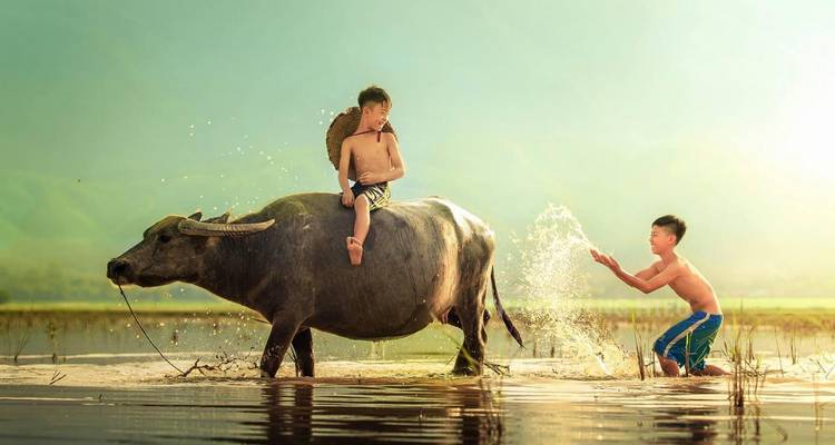 Zwei Kinder spielen mit einem Büffel in einem Gewässer.