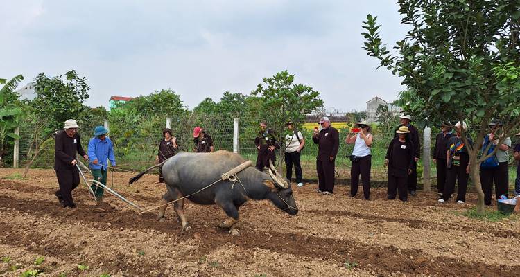 Gruppe von Menschen, die einem Bauern mit einem Büffel beim Pflügen eines Feldes zusehen.