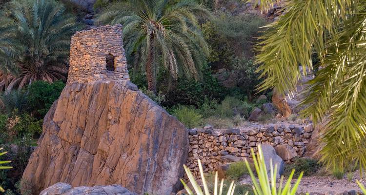 Heart of Muscat Day Tour - Peregrine Treks and Expedition Pvt Ltd 8