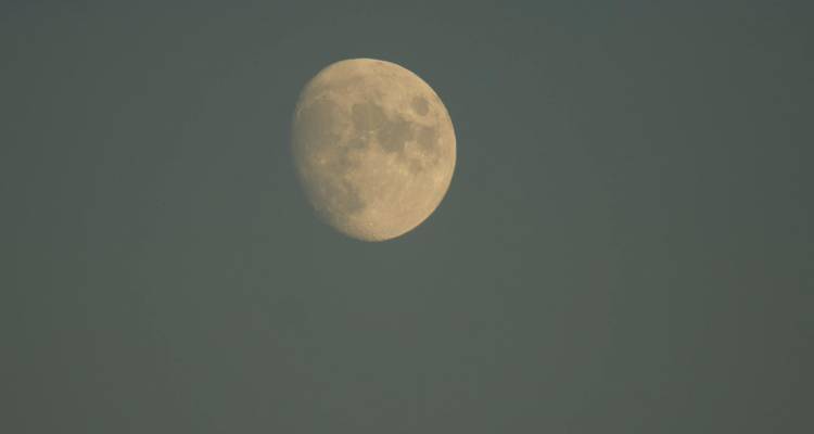 4 Días: Emocionante Experiencia de Safari y Observación Nocturna de las Estrellas en Itezhi Tezhi - Lochinvar Safaris 8