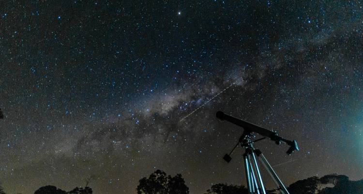4 Días: Emocionante Experiencia de Safari y Observación Nocturna de las Estrellas en Itezhi Tezhi - Lochinvar Safaris 1