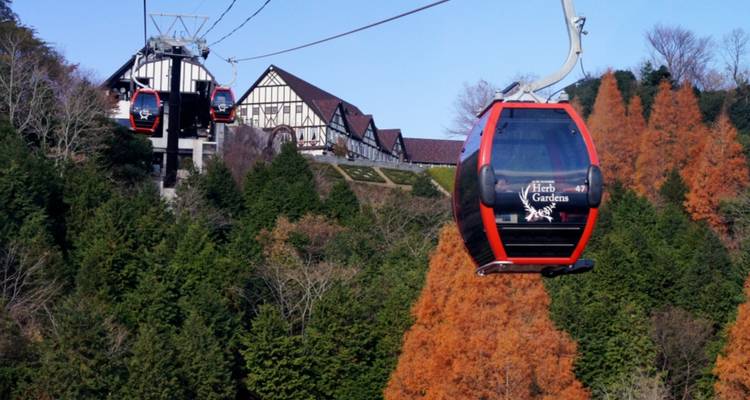 15 Days Deep Dive into Japanese Culture（Private Guide and Driver）- Umetravel - UME Travel Co. Ltd 9