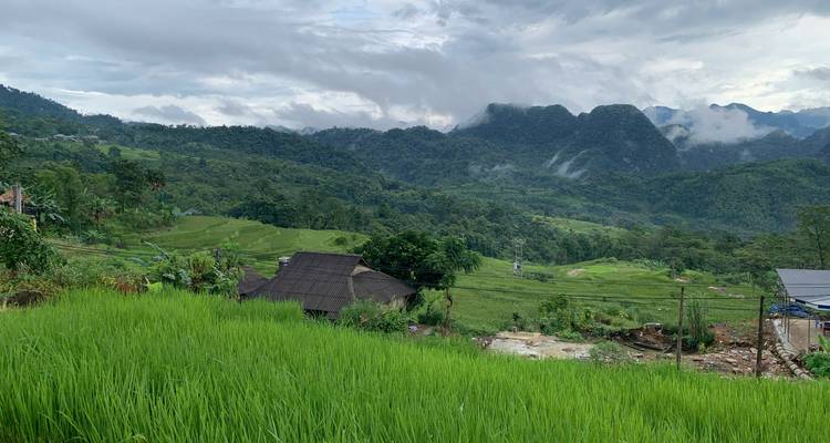 Vietnam del Norte 8 Días De la Montaña al Mar (Hanói - Mai Chau - Pu Luong - Ninh Binh y Bahía de Lan Ha) - Asia Focus Travel 2