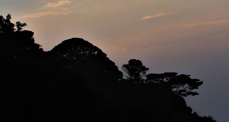 9 Days Rwanda – Uganda primates and wildlife - Rwanda Eco Company and Safaris  3