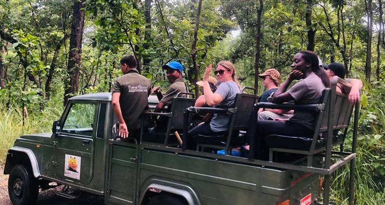 Excursión de Rastreo de Tigres en Bardia - Friendship Nepal Tours & Travels P. Ltd. 7