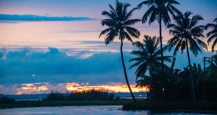 Circuito Privado de 5 Días por Kerala con Munnar, Thekkady Alleppey desde Cochin - Yoganshi Travel 4
