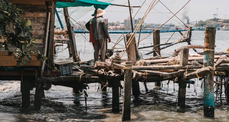 Au départ de Cochin : 8 jours d'excursion au Kerala avec croisière en bateau à moteur -  Taj Voyages Tours  2