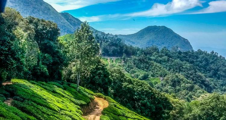 Explorez le Kerala - Le pays de Dieu - Yoganshi Travel 1