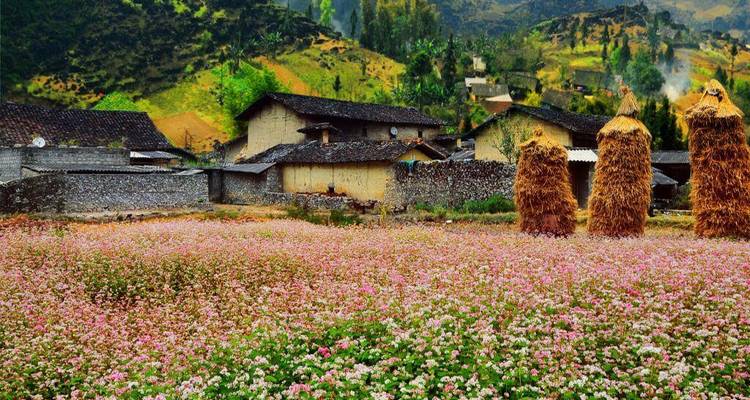 Ha Giang Escape 4 Day by Car/Jeep/Motobike ( Dept Morning ) - Bee Gng International Joint Stock Company 7
