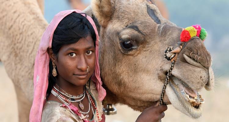 Aventura en el Triángulo de Oro: Maravillas de la Naturaleza y Colores de Holi - Swastik India Journeys 4