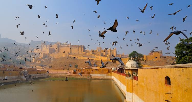 Aventura en el Triángulo de Oro: Maravillas de la Naturaleza y Colores de Holi - Swastik India Journeys 7