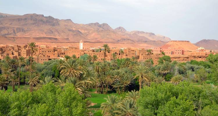 View of a lush oasis with traditional buildings and palm trees.