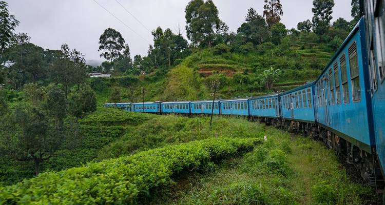 L'essentiel du Sri Lanka (7 destinations) - Intrepid Travel 1