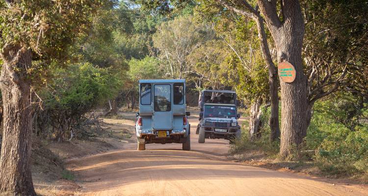 L'essentiel du Sri Lanka (7 destinations) - Intrepid Travel 10