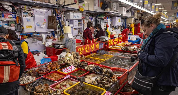 Marché aux fruits de mer animé avec divers plats de fruits de mer en vitrine.