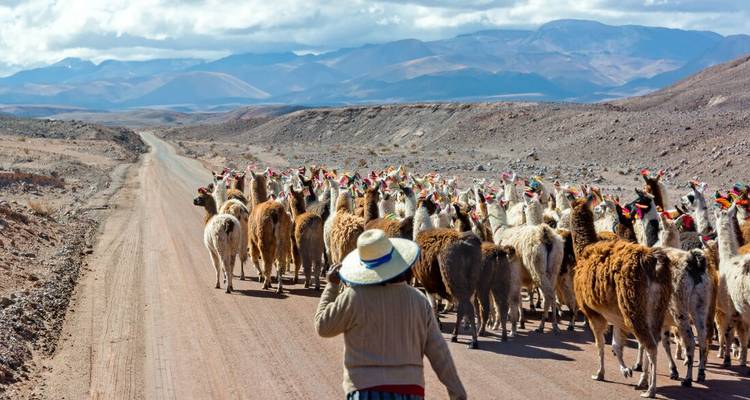 La Bolivie et l'Argentine réelles (6 destinations) - Intrepid Travel 2