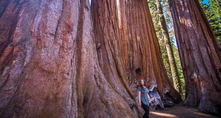 Les meilleurs parcs nationaux de Californie - Intrepid Travel 5