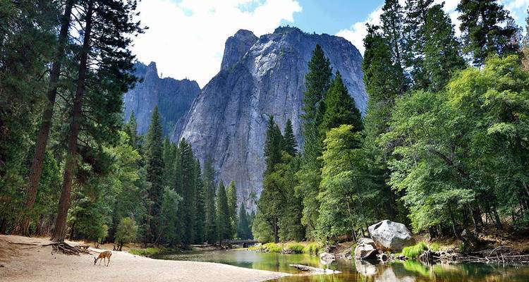Les meilleurs parcs nationaux de Californie - Intrepid Travel 2
